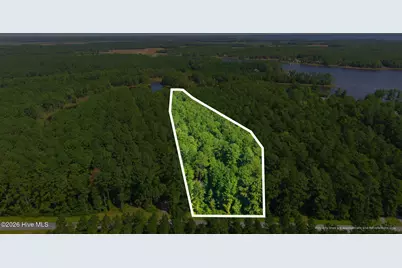931 Schrams Beach Road, Belhaven, NC 27810 - Photo 5