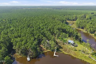 931 Schrams Beach Rd, Belhaven, NC 27810 - Photo 13