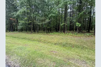 0 Stillwater Drive, Belhaven, NC 27810 - Photo 7