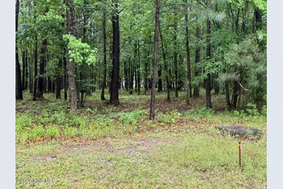 0 Stillwater Drive, Belhaven, NC 27810 - Photo 3