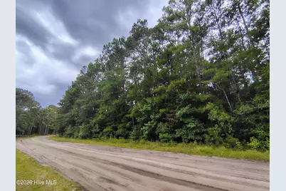 Lot 45 Near 519 Deer Lane, Tabor City, NC 28463 - Photo 3