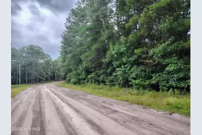 Lot 45 Near 519 Deer Lane, Tabor City, NC 28463 - Photo 5
