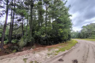 Lot 45 Near 519 Deer Ln, Tabor City, NC 28463 - Photo 1