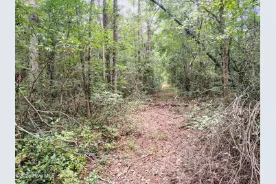 Lot 45 Near 519 Deer Lane, Tabor City, NC 28463 - Photo 9