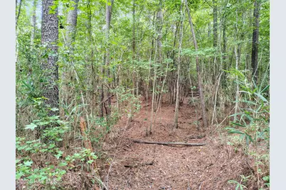 Lot 45 Near 519 Deer Lane, Tabor City, NC 28463 - Photo 7
