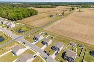 4413 Marthas Vlg Ln, Ayden, NC 28513 - Photo 49