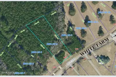 2106 White Farm Road, Oriental, NC 28571 - Photo 11