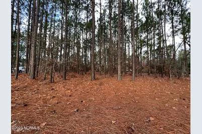 182 Banbridge Drive, West End, NC 27376 - Photo 3