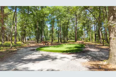 321 Preservation Point Avenue, Wilmington, NC 28401 - Photo 65