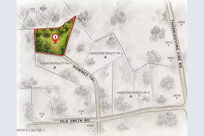 50 Downes Trail, Selma, NC 27576 - Photo 1