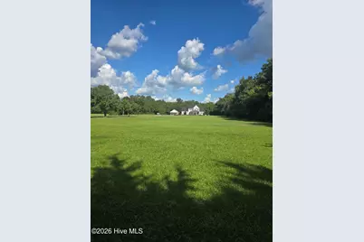 0 Lee Street, Bladenboro, NC 28320 - Photo 5