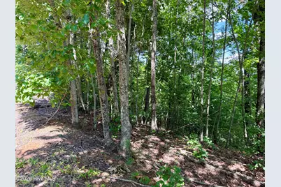 9 Sahkanaga Drive, Murphy, NC 28906 - Photo 3