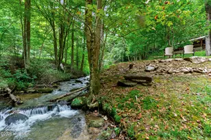 5100 Junaluska Rd, Andrews, NC 28901 - Photo 5