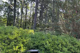 1738 Paul Barnes Rd, Chadbourn, NC 28431 - Photo 7