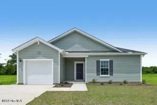 209 Hallwood Dr, Pikeville, NC 27863 - Photo 1