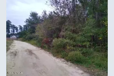 228 Hopkins Seafood Road, Belhaven, NC 27810 - Photo 19