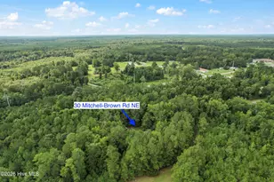 30 Mitchell-Brown Rd NE, Bolivia, NC 28422 - Photo 31
