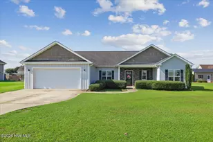 205 Mary Frances Way, Pikeville, NC 27863 - Photo 1