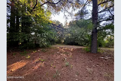 305 Keion Crossen Street, Garysburg, NC 27831 - Photo 13
