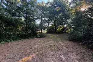 305 Keion Crossen St, Garysburg, NC 27831 - Photo 15