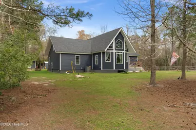259 Heathers Folly Road, Willard, NC 28478 - Photo 1