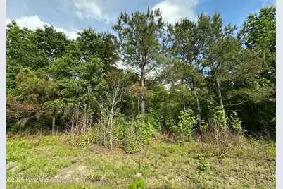 Tract 2 McGirt Road, Maxton, NC 28364 - Photo 3