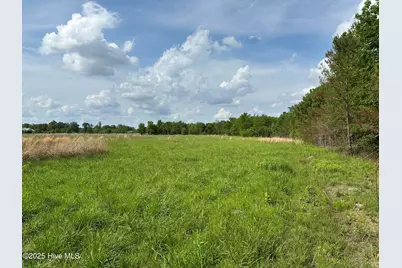 Tract 2 McGirt Road, Maxton, NC 28364 - Photo 5