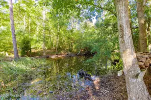 126 Joan's Haven Dr, Newport, NC 28570 - Photo 35