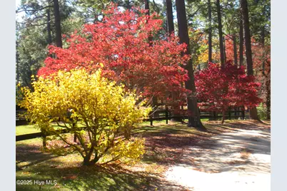 292 Bump A Long Lane, Southern Pines, NC 28387 - Photo 15
