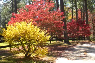 292 Bump a Long Ln, Southern Pines, NC 28387 - Photo 15