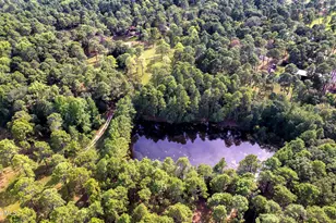 292 Bump a Long Ln, Southern Pines, NC 28387 - Photo 27