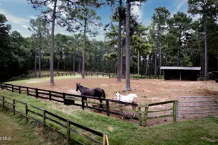 292 Bump a Long Ln, Southern Pines, NC 28387 - Photo 61