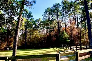 292 Bump a Long Ln, Southern Pines, NC 28387 - Photo 71