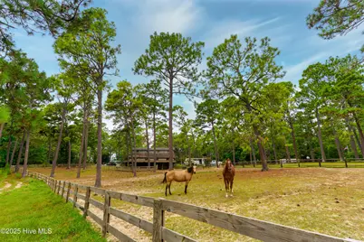 292 Bump A Long Lane, Southern Pines, NC 28387 - Photo 63