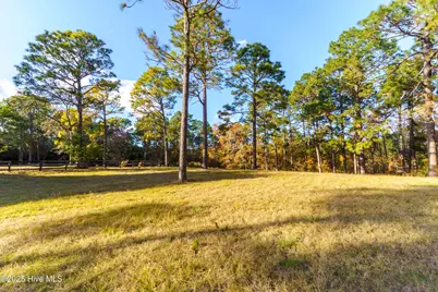 292 Bump A Long Lane, Southern Pines, NC 28387 - Photo 19