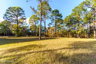 292 Bump a Long Ln, Southern Pines, NC 28387 - Photo 19