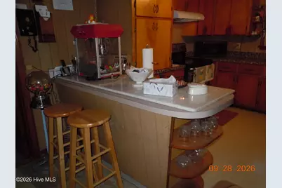 13303 Swamp Fox Highway E, Tabor City, NC 28463 - Photo 5