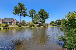 1334 Hydrangea Ct, Leland, NC 28451 - Photo 45