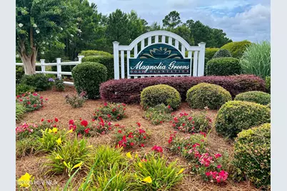 1009 West Cove Loop, Leland, NC 28451 - Photo 25