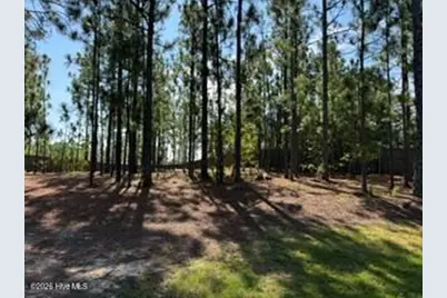 3005 Dana Lane, Aberdeen, NC 28315 - Photo 33