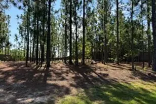 3005 Dana Ln, Aberdeen, NC 28315 - Photo 33