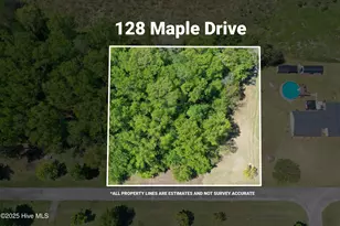 128 Maple Dr, Whiteville, NC 28472 - Photo 1