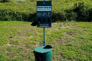 [Address not provided], Atlantic Beach, NC 28512 - Photo 31
