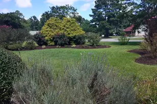 116 Anna's Way, Grandy, NC 27939 - Photo 47