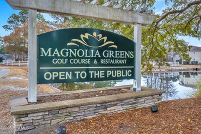 221 Windchime Way, Leland, NC 28451 - Photo 61