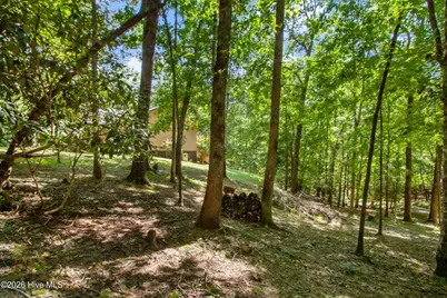 241 Bunny Run, Murphy, NC 28906 - Photo 5