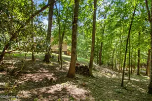 241 Bunny Run, Murphy, NC 28906 - Photo 5