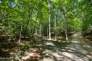 241 Bunny Run, Murphy, NC 28906 - Photo 3