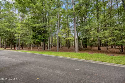3716 Pine Brook Trail, Shallotte, NC 28470 - Photo 21