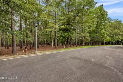 3716 Pine Brook Trail, Shallotte, NC 28470 - Photo 19